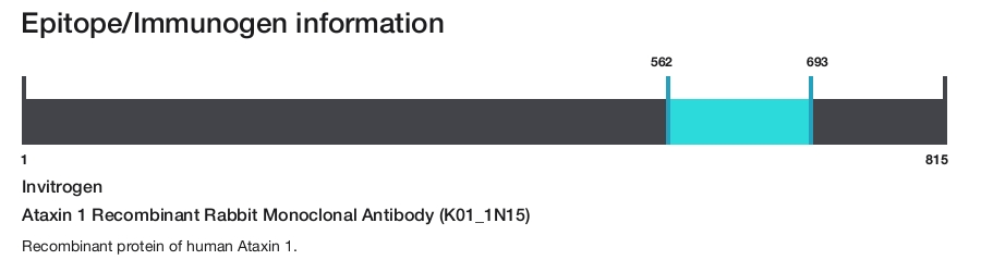Ataxin 1 Recombinant Rabbit Monoclonal Antibody (K01_1N15)
