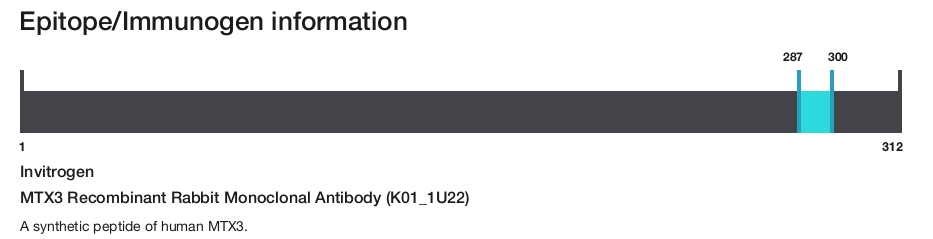 MTX3 Recombinant Rabbit Monoclonal Antibody (K01_1U22)