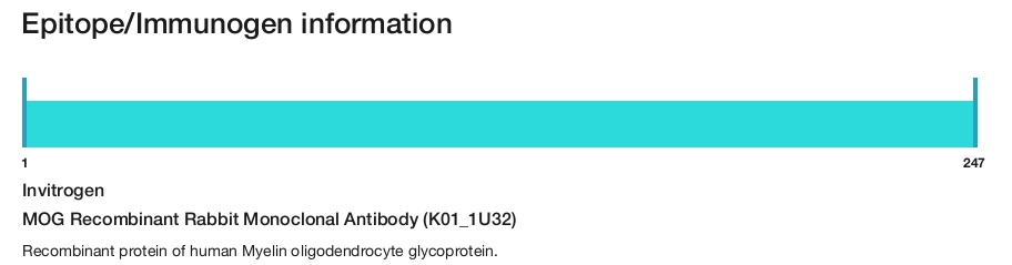 MOG Recombinant Rabbit Monoclonal Antibody (K01_1U32)