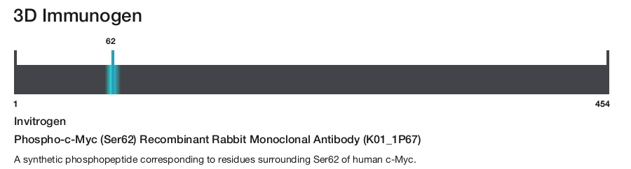 Phospho-c-Myc (Ser62) Recombinant Rabbit Monoclonal Antibody (K01_1P67)