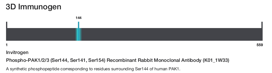 Phospho-PAK1/2/3 (Ser144, Ser141, Ser154) Recombinant Rabbit Monoclonal Antibody (K01_1W33)