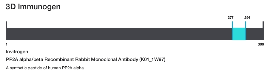 PP2A alpha/beta Recombinant Rabbit Monoclonal Antibody (K01_1W97)