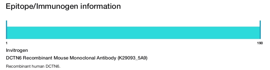 DCTN6 Recombinant Mouse Monoclonal Antibody (K29093_5A9)
