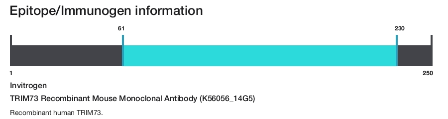 TRIM73 Recombinant Mouse Monoclonal Antibody (K56056_14G5)
