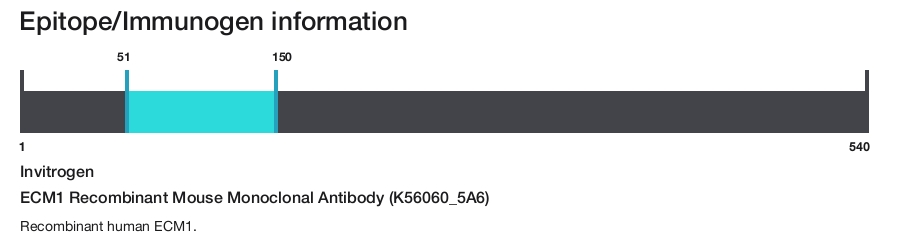 ECM1 Recombinant Mouse Monoclonal Antibody (K56060_5A6)