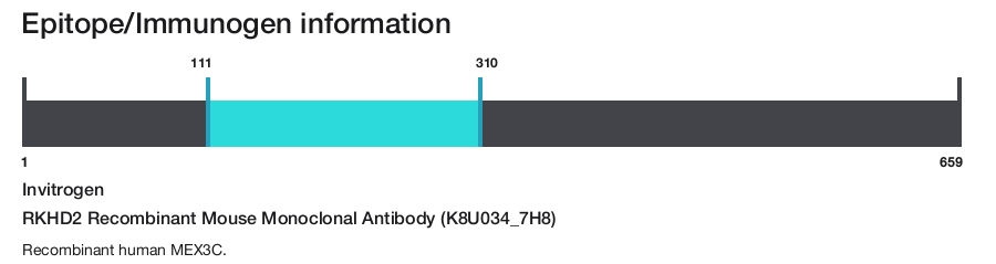 RKHD2 Recombinant Mouse Monoclonal Antibody (K8U034_7H8)