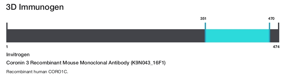 Coronin 3 Recombinant Mouse Monoclonal Antibody (K9N043_16F1)