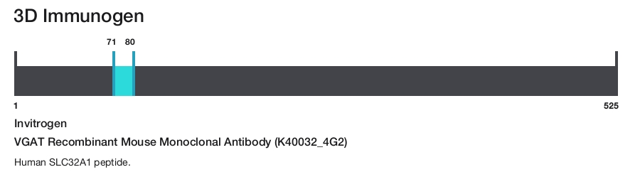 VGAT Recombinant Mouse Monoclonal Antibody (K40032_4G2)