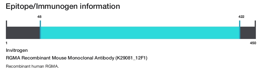 RGMA Recombinant Mouse Monoclonal Antibody (K29081_12F1)