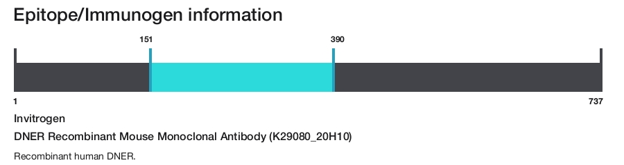 DNER Recombinant Mouse Monoclonal Antibody (K29080_20H10)