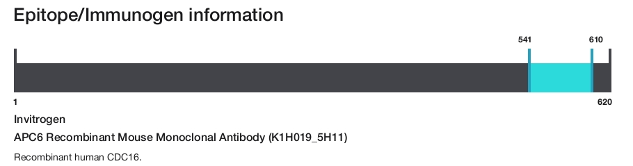 APC6 Recombinant Mouse Monoclonal Antibody (K1H019_5H11)