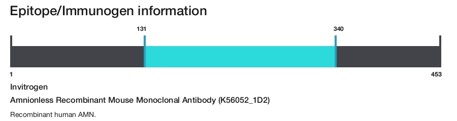 Amnionless Recombinant Mouse Monoclonal Antibody (K56052_1D2)