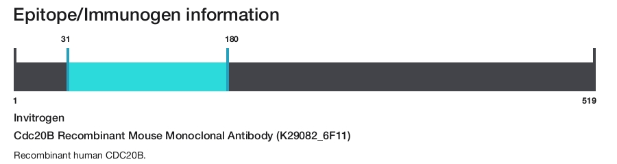 Cdc20B Recombinant Mouse Monoclonal Antibody (K29082_6F11)