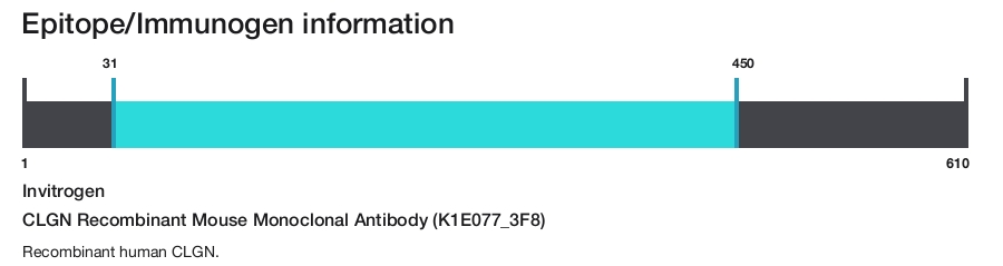 CLGN Recombinant Mouse Monoclonal Antibody (K1E077_3F8)