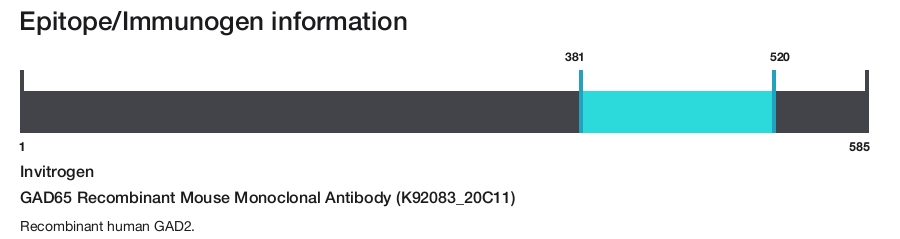 GAD65 Recombinant Mouse Monoclonal Antibody (K92083_20C11)