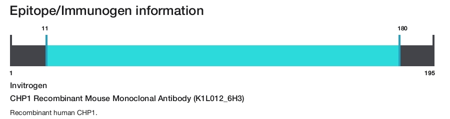 CHP1 Recombinant Mouse Monoclonal Antibody (K1L012_6H3)