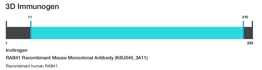 RAB41 Recombinant Mouse Monoclonal Antibody (K8U045_3A11)