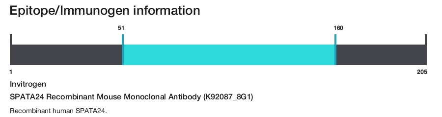 SPATA24 Recombinant Mouse Monoclonal Antibody (K92087_8G1)
