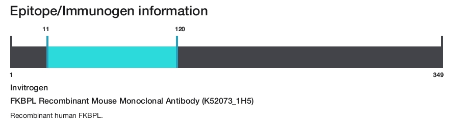 FKBPL Recombinant Mouse Monoclonal Antibody (K52073_1H5)