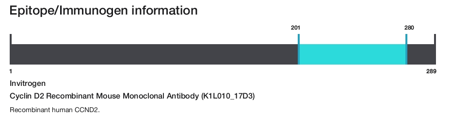 Cyclin D2 Recombinant Mouse Monoclonal Antibody (K1L010_17D3)