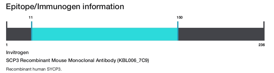 SCP3 Recombinant Mouse Monoclonal Antibody (KBL006_7C9)