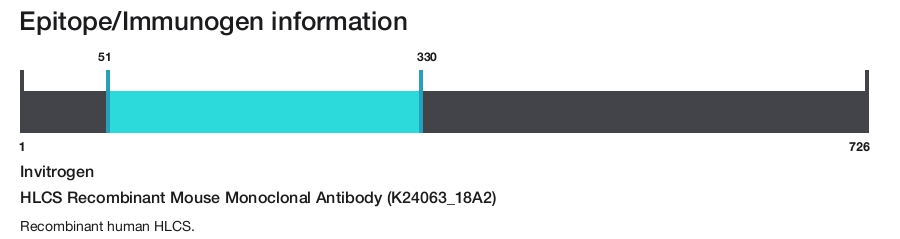 HLCS Recombinant Mouse Monoclonal Antibody (K24063_18A2)
