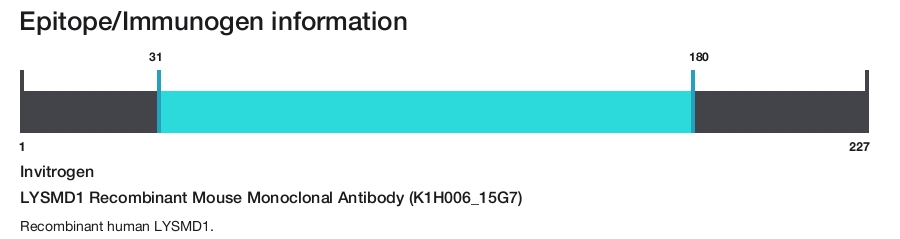 LYSMD1 Recombinant Mouse Monoclonal Antibody (K1H006_15G7)
