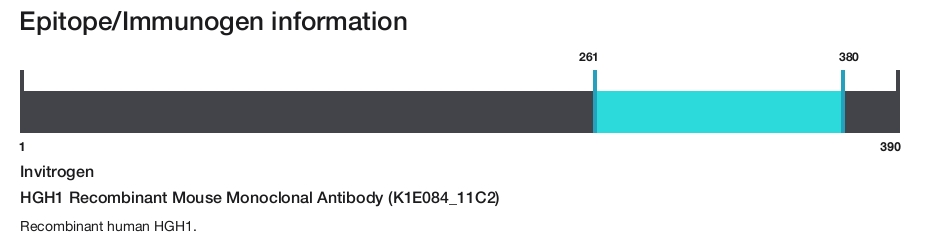 HGH1 Recombinant Mouse Monoclonal Antibody (K1E084_11C2)