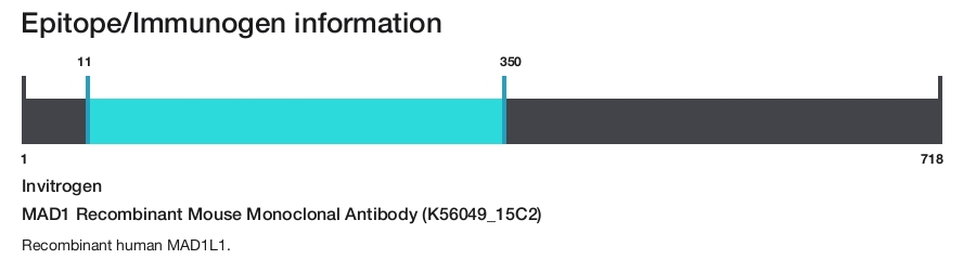 MAD1 Recombinant Mouse Monoclonal Antibody (K56049_15C2)
