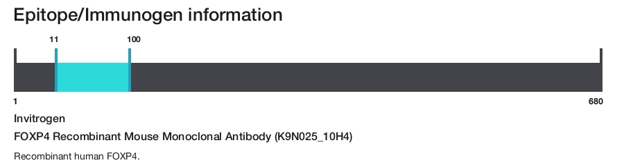 FOXP4 Recombinant Mouse Monoclonal Antibody (K9N025_10H4)