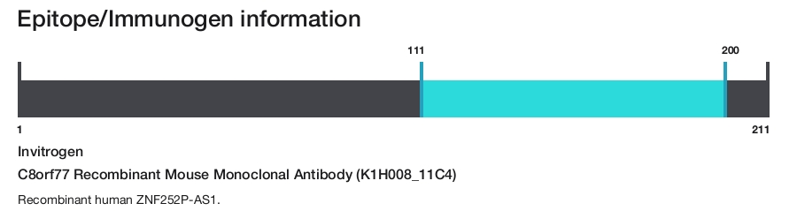 C8orf77 Recombinant Mouse Monoclonal Antibody (K1H008_11C4)