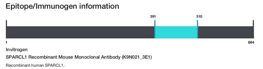 SPARCL1 Recombinant Mouse Monoclonal Antibody (K9N021_3E1)