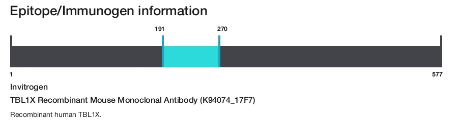 TBL1X Recombinant Mouse Monoclonal Antibody (K94074_17F7)