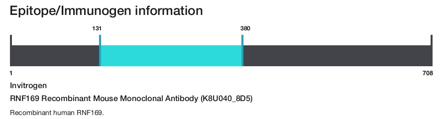 RNF169 Recombinant Mouse Monoclonal Antibody (K8U040_8D5)