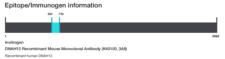 DNAH12 Recombinant Mouse Monoclonal Antibody (K40100_3A8)