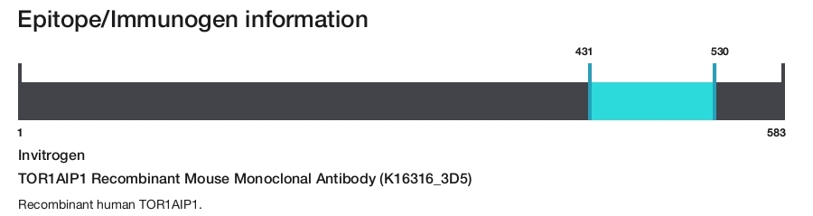 TOR1AIP1 Recombinant Mouse Monoclonal Antibody (K16316_3D5)