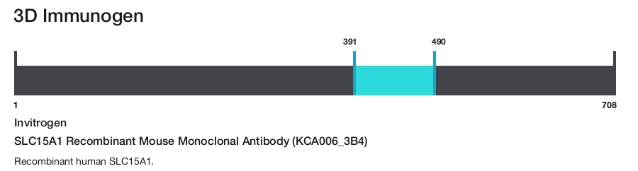 SLC15A1 Recombinant Mouse Monoclonal Antibody (KCA006_3B4)