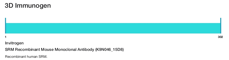 SRM Recombinant Mouse Monoclonal Antibody (K9N046_15D8)