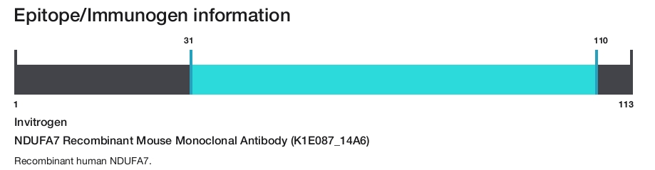 NDUFA7 Recombinant Mouse Monoclonal Antibody (K1E087_14A6)