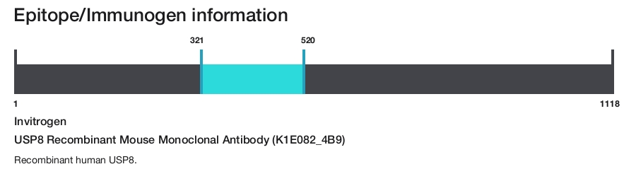 USP8 Recombinant Mouse Monoclonal Antibody (K1E082_4B9)