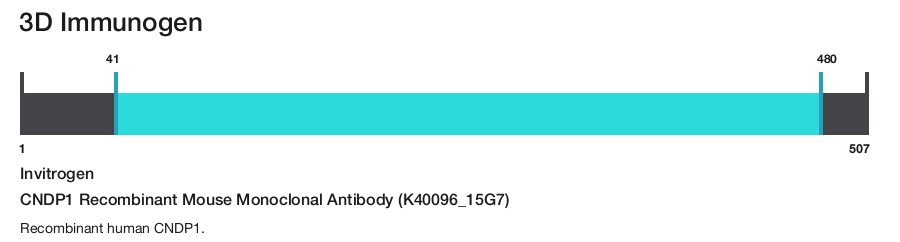 CNDP1 Recombinant Mouse Monoclonal Antibody (K40096_15G7)