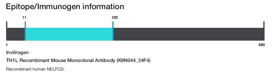 TH1L Recombinant Mouse Monoclonal Antibody (K9N044_24F4)