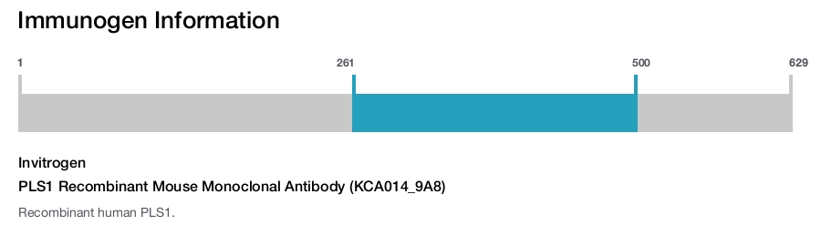 PLS1 Recombinant Mouse Monoclonal Antibody (KCA014_9A8)