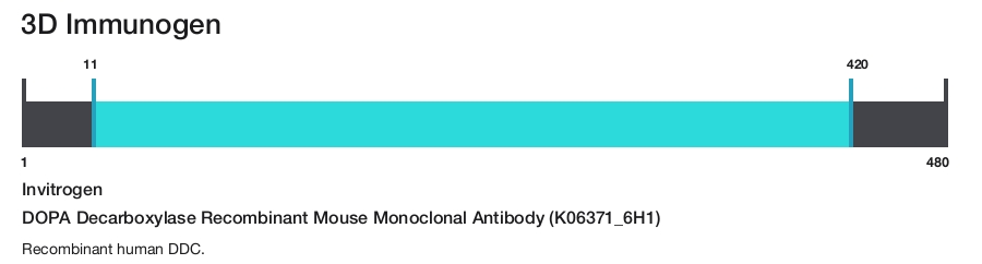 DOPA Decarboxylase Recombinant Mouse Monoclonal Antibody (K06371_6H1)