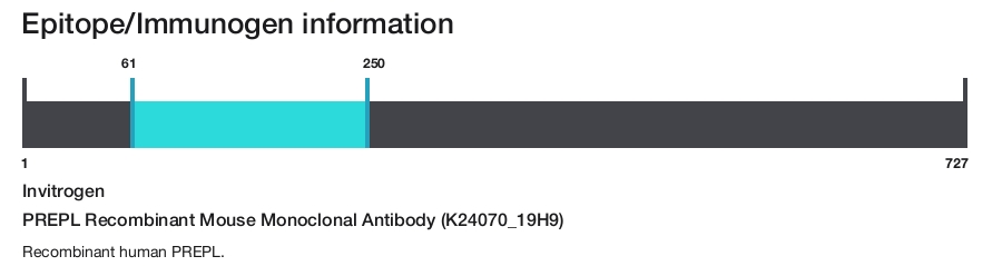 PREPL Recombinant Mouse Monoclonal Antibody (K24070_19H9)