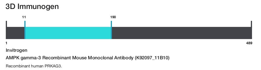 AMPK gamma-3 Recombinant Mouse Monoclonal Antibody (K92097_11B10)