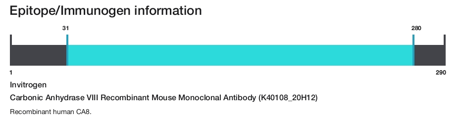 Carbonic Anhydrase VIII Recombinant Mouse Monoclonal Antibody (K40108_20H12)