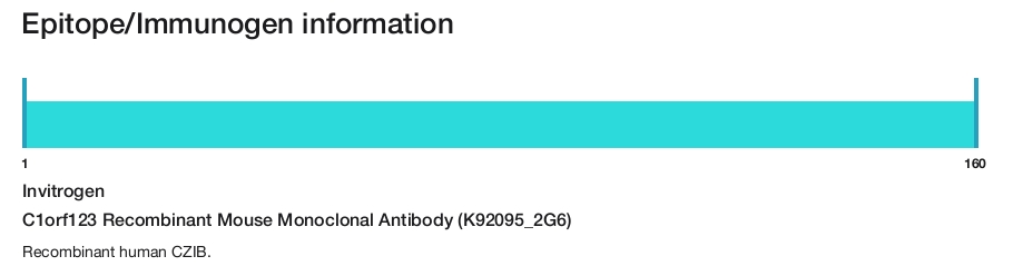 C1orf123 Recombinant Mouse Monoclonal Antibody (K92095_2G6)