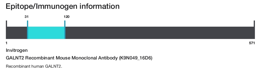 GALNT2 Recombinant Mouse Monoclonal Antibody (K9N049_16D6)