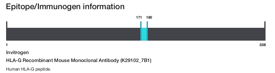 HLA-G Recombinant Mouse Monoclonal Antibody (K29102_7B1)